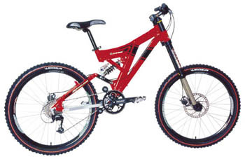 raceline mountain bike